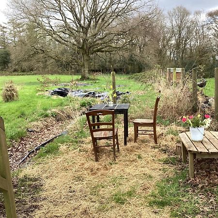 Vigo Retreat Cabin 1 Sevenoaks Εξωτερικό φωτογραφία